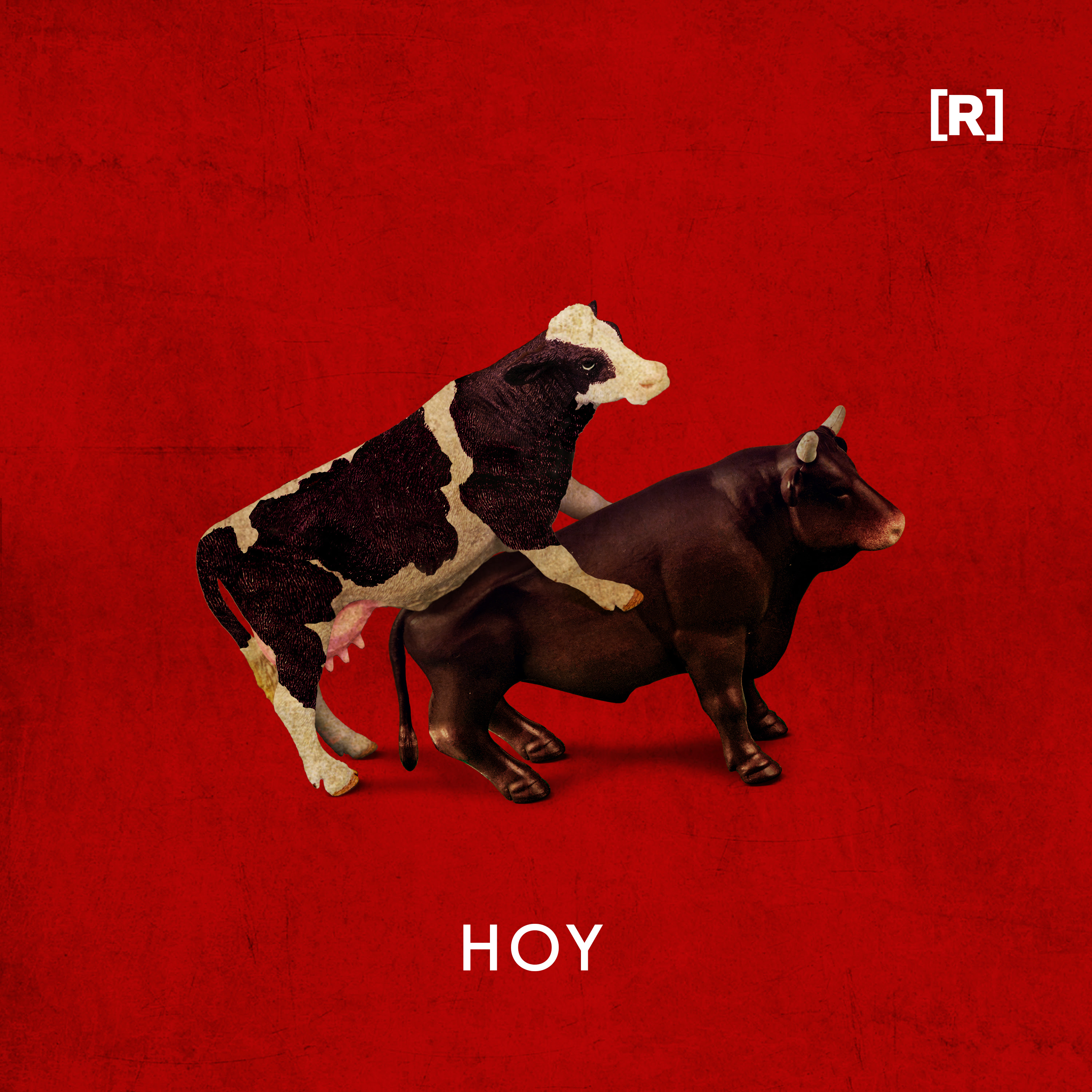 hoy-residente